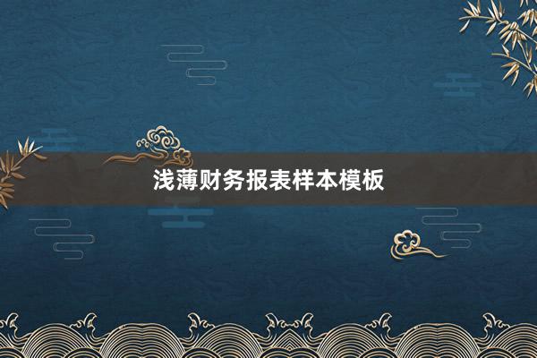浅薄财务报表样本模板