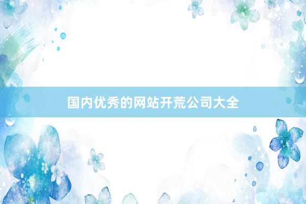 国内优秀的网站开荒公司大全